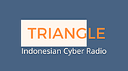 Triangle logo