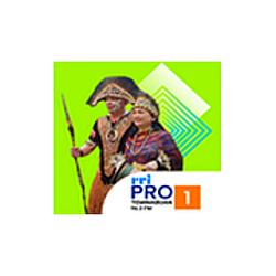 RRI Pro 1 - Teminabuan logo