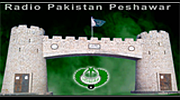 Radio Pakistan Peshawar logo