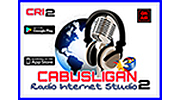CRI Studio 2 logo