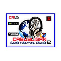 CRI Studio 2 logo