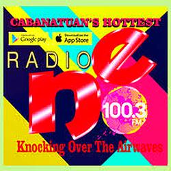 Radio NE FM100.3