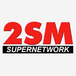 2SM logo