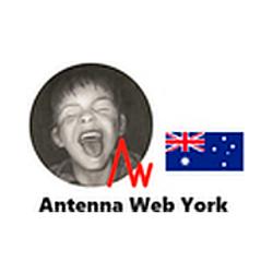 Antenna Web York