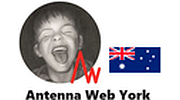 Antenna Web York