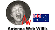 Antenna Web Willis
