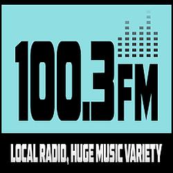 100.3 FM South Canterbury logo