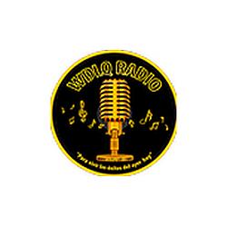 WDLQ RADIO logo