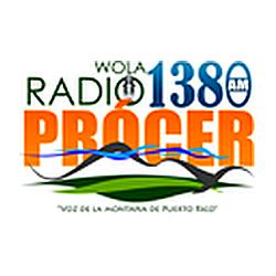 Procer logo