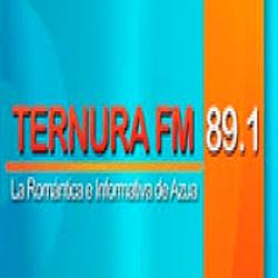 Ternura 89.1 FM logo