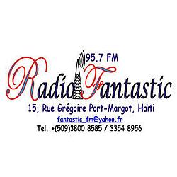 Radio Fantastic 95.7 FM logo