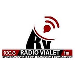Radio Vialet Fm 100.3 logo