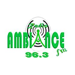 Radio Ambiance Fm 96.1 logo