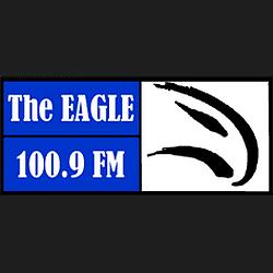 The Eagle logo
