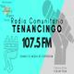 Radio Comunitaria Tenancingo 107.5 Fm