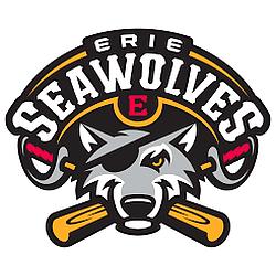 Erie SeaWolves Baseball Network logo