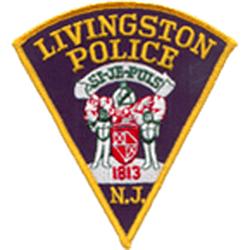 Livingston Fire
