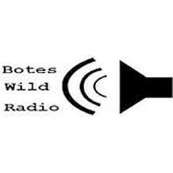 Bote's Mobile Feed logo