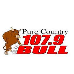 The Bull logo
