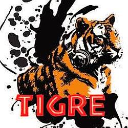 TIGRE 102.1 FM logo