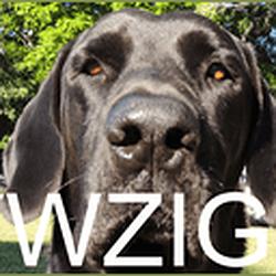 WZIG 104.1 FM logo