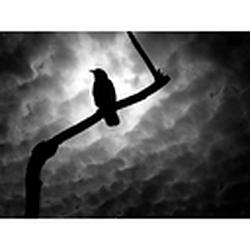 AltRockIsDead.com Radio logo