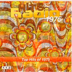 113.FM Hits - 1975