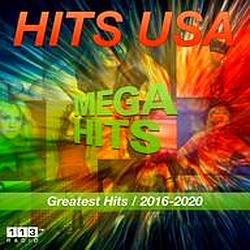 113.FM Hits USA (Top 40 / Hits) logo