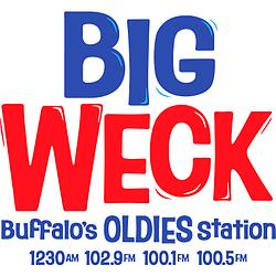 Ambazonia National Radio logo