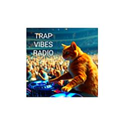 Storm Maverick Radio