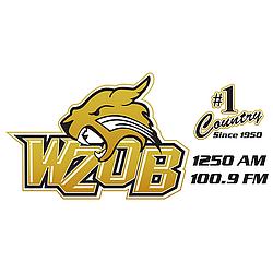 WZOB-AM 1250